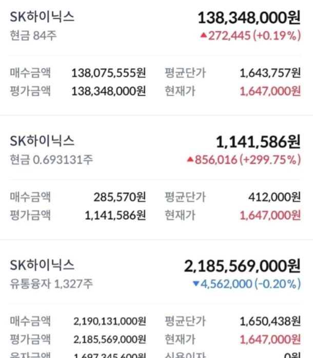 17억 대출로 SK하이닉스 '올인'한 공무원