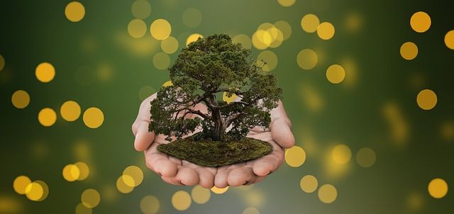 우리가 할 수 있는 일: 책임감 있는 입양 문화 만들기