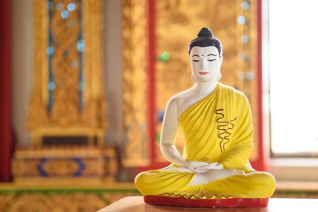 결론: 생명 존중, 더 나은 사회를 향한 첫걸음