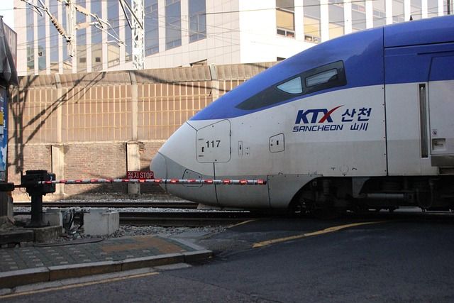 벌새 날갯짓: 초고속 날갯짓의 과학적 원리