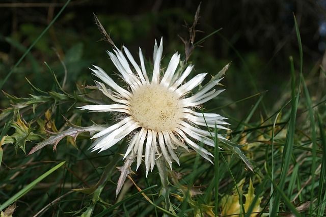 FAQ: 두쫀쿠 알바에 대한 궁금증 해결