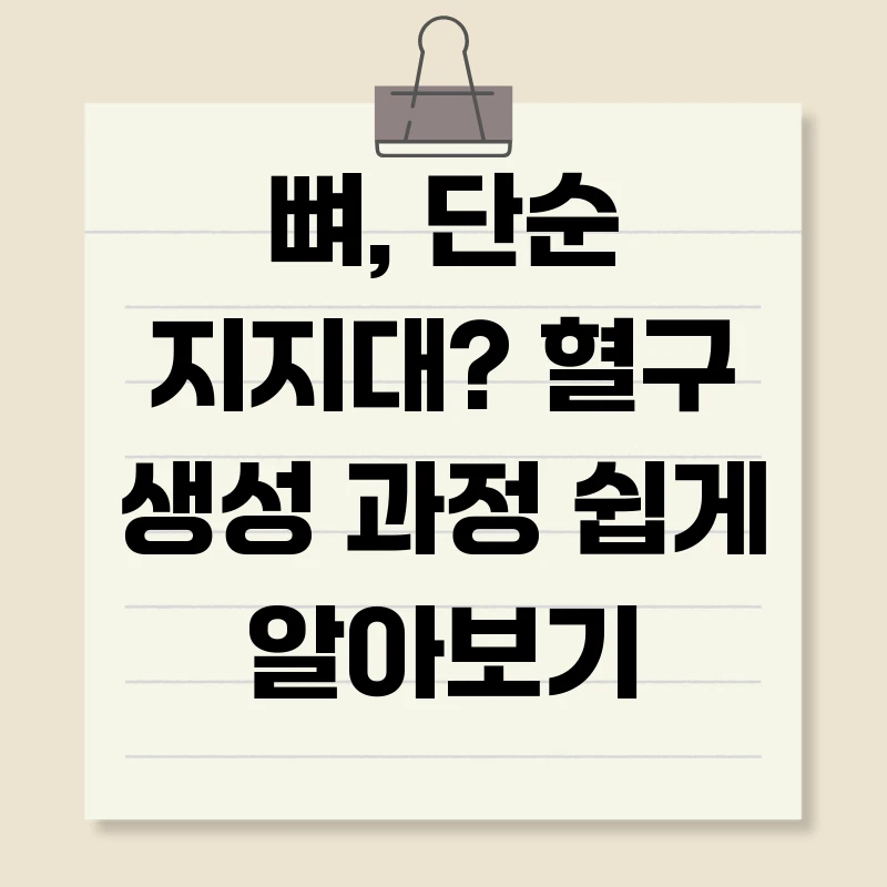 뼈, 단순 지지대? 혈구 생성 과정 쉽게 알아보기