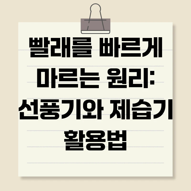 빨래를 빠르게 마르는 원리: 선풍기와 제습기 활용법