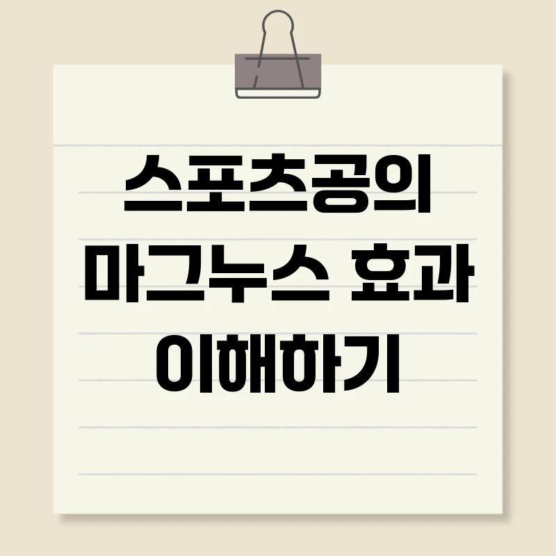 스포츠공의 마그누스 효과 이해하기