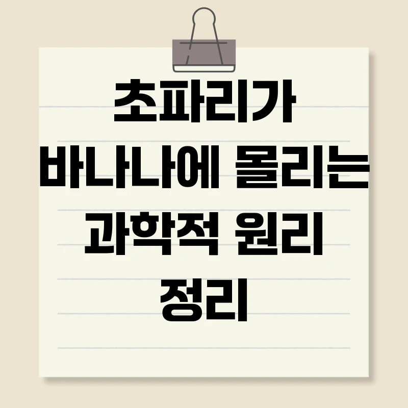 초파리가 바나나에 몰리는 과학적 원리 정리